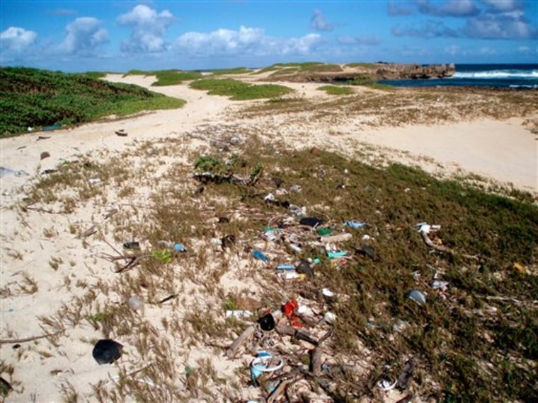 In this undated photo provided by the National Oceanic and Atmospheric Administration's marine debris program, plastic trash is seen on the shore in Kahuku, Hawaii.  Appliance manufacturer Electrolux has made a vacuum cleaner out of plastic garbage collected at Kahuku beach to provoke a discussion about the large volumes of plastic trash that are polluting the world's oceans. (AP Photo/NOAA Marine Debris Program)
